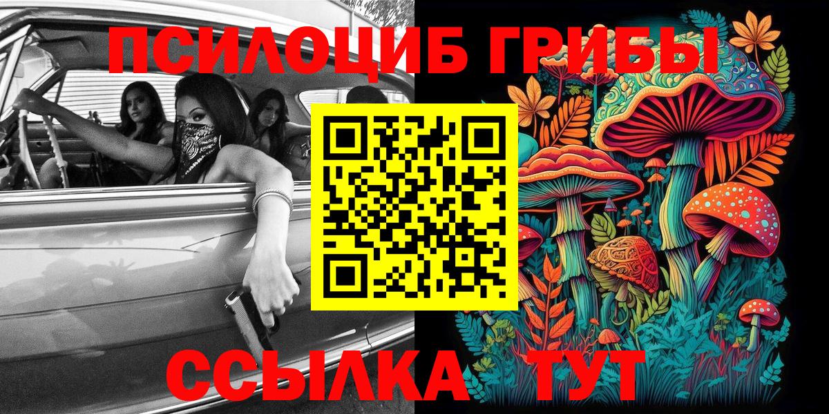 Псилоцибиновые грибы MAGIC MUSHROOMS  Вход с VPN  где купить   Галлюциногенные грибы прущие грибы  Новоуральск 